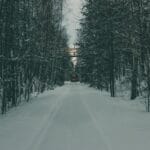 Pociąg jedzie po ośnieżonych torach przez zimowy las