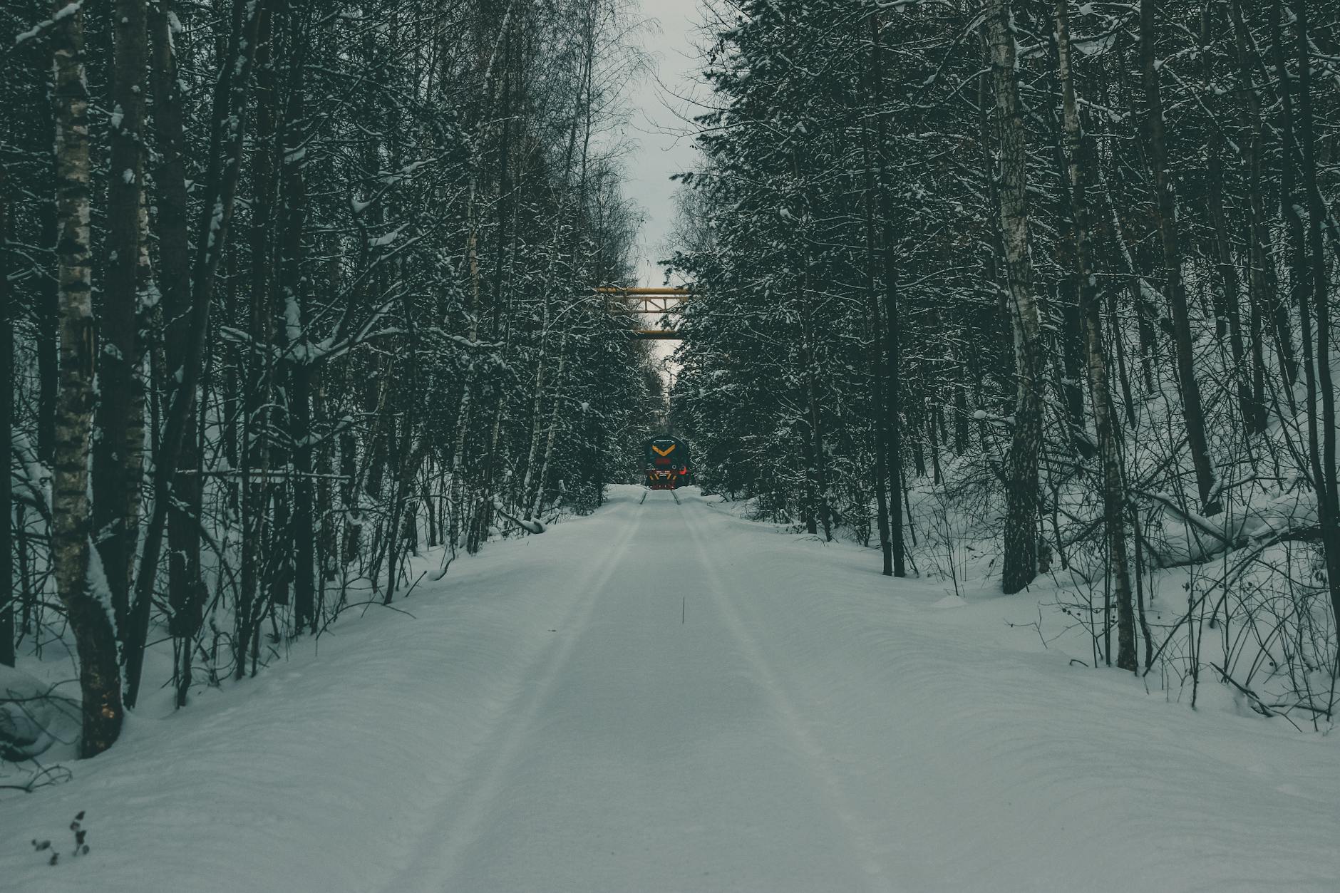 Pociąg jedzie po ośnieżonych torach przez zimowy las